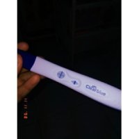 FDZJUNIOR