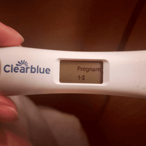 Clearblue pregnancy test