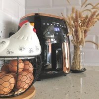 Love the capacity of the air fryer